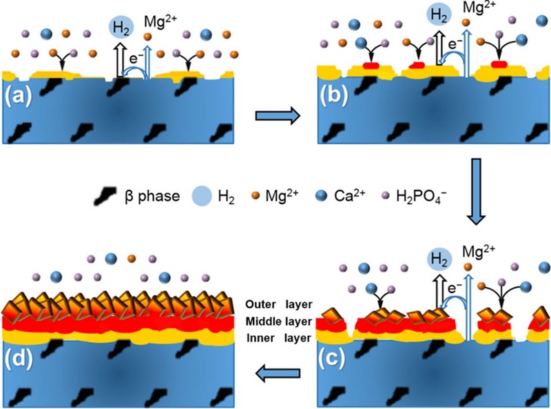 استاندارد های فسفاته