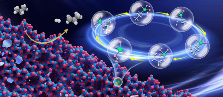 Visualizing the Propane Dehydrogenation Cycle 777x339