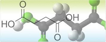 فرمول ساختمانی اسید سوکسینیک