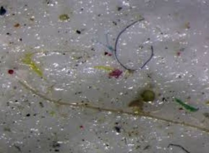 microplastic