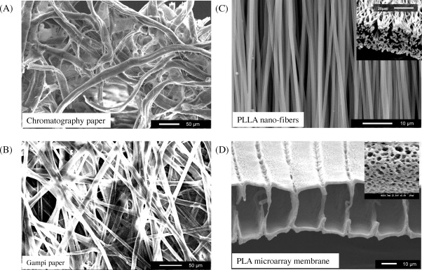 نانو کروماتوگرافی